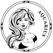 水瓶座和什么星座比较般配(星座配对大揭秘)