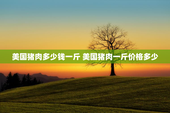 美国猪肉多少钱一斤 美国猪肉一斤价格多少
