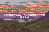 92年猴是什么命，1992年的属猴的今年婚姻怎么样