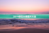 2019微信头像图片大全