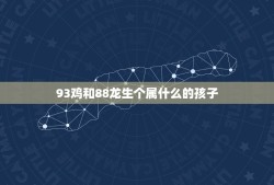 93鸡和88龙生个属什么的孩子(解密龙鸡混血宝宝的命运)