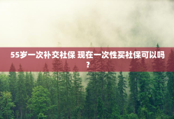 55岁一次补交社保 现在一次性买社保可以吗？